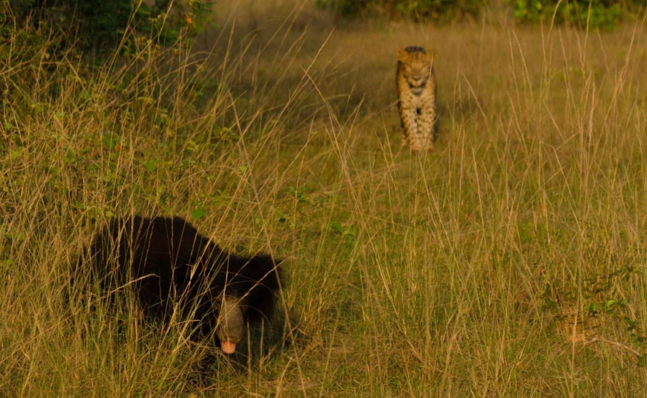 Big Game - Wilpattu By Eco Team Otel Dış mekan fotoğraf